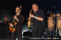 DSC_0018_1.jpg (52,199 bytes)