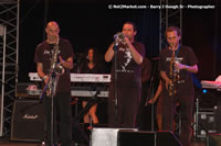 DSC_0339.jpg (52,683 bytes)