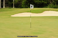 DSC_9121.jpg (81,590 bytes)