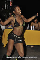 DSC_7446.jpg (63,079 bytes)