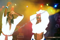 DSC_0447.jpg (93,663 bytes)