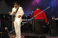 DSC_0985.jpg (123,864 bytes)