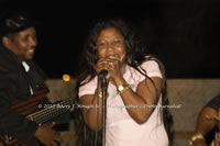 DSC_0185.jpg (50,960 bytes)